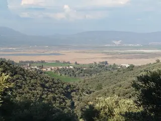 Deniz Manzaralı Zeytinlik Fırsatı!!!