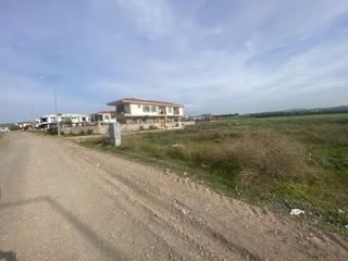 Ayvalık Kucukkoy De Satılık 303 Metre Kare Arsa.
