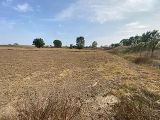 Lüleburgaz Çiftlikköy'de Asfalta 50m Yakın Yatırımlık Arazi