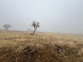 Öz Gaye Emlaktan Develi Tombak Bekçitepesi Mevkinde Satılık Arazi Öz Gaye Emlaktan Develi Tombak Bekçitepesi Mevkinde Satılık Arazi