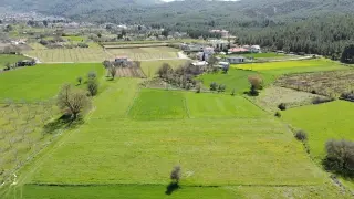 Goldhouse Dan Satılık Yeşil Üzümlü De 10 Dönüm Tarla