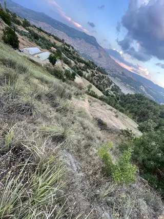 Muğla Menteşe Esençay Mah. Satılık Tarla