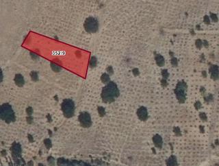 Doğanlarla / Yeni Mahalle De 352/9