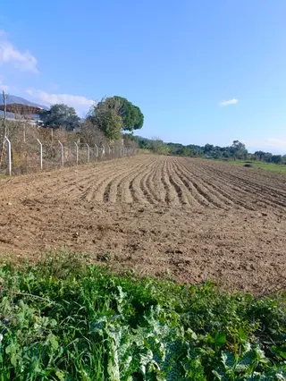 Aydın Nazilli Durasallı Mah Satılık Arsa