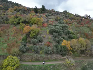 Bayındır Kızıloba Yaylasında Doğayla İç İçe Satılık Arazi