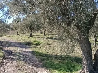 Buca Doğancılar Köyünde Doğanın Kalbinde