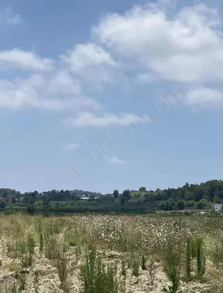 Seydişehir Taraşçı Mahallesinde Satılık 5.874 M² Tarla