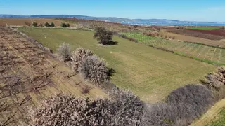 Çanakkale Kangırlı’da 6975 M2 Acele Satılık Tarla Çanakkale Kangırlı’da 6975 M2 Acele Satılık Tarla