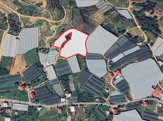 Macar'da 11.590 M² Hazır Kurulu Düzen Kapalı Muz Serası