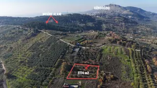 Gündoğdu Dürdane Mevkii 2.774 M2 Müstakil Parsel Satılık Tarla