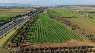 İzmir Havaalanına Ve İmara Yakın Satılık Tektapu 1.400 M2 Yatırımlık Arazi