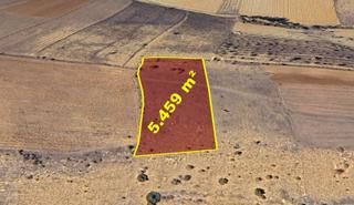 Konya / Doğanhisar / Baş - Başköy Mahallesinde 5.459 M² Müstakil Tapulu Tarla
