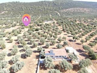 Didim Akyeniköy Kardelen Arsası Villa İmarlı