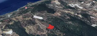 Zeytinada Mahallesinde Uygun Fiyat 10 Dönüm Tarla