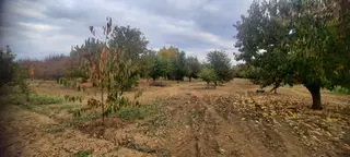 Villa Ve Müstakil Ev Yapımına Uygun Afyonun Gözde Mahallesi Çakırköyde