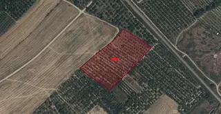 A-k Emlaktan Atakentte Toplam 4069 M2 Satılık Eriklik Tarla