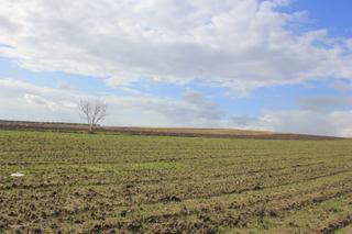 Bursa Karacabey Tophisar Yatırımlık 2650m2 Tarla Bursa Karacabey Tophisar Yatırımlık 2650m2 Tarla