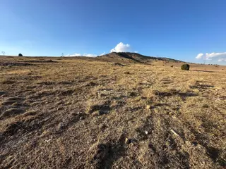 Afyon Bolvadin Kurucuova'da Yola Tek Parsel Fırsat Arazi!!!