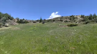 Sahibinden Sahibinden Karaisalı Merkezde Su Kuyusu Ve Yolu Olan Cazip Tarla ~12 Dönüm Sahibinden Sahibinden Karaisalı Merkezde Su Kuyusu Ve Yolu Olan Cazip Tarla ~12 Dönüm