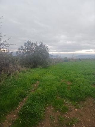 Kiraz Musluklar Mevkisinde 5.847m2 Tala Satılık Kiraz Musluklar Mevkisinde 5.847m2 Tala Satılık