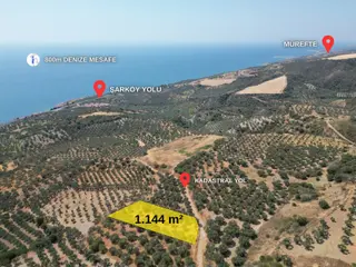 Torunlar Emlaktan Satılık Deniz Manzaralı Yatırımlık Zeytinlik