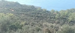 Aydıncık Emlaktan Satılık Tarla