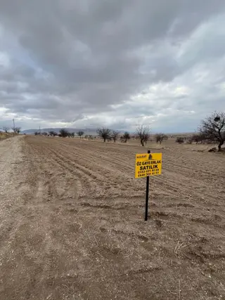 Öz Gaye Emlaktan Develi Çomaklı Yapraklıburun Mevkiinde Satılık Bağ Yeri