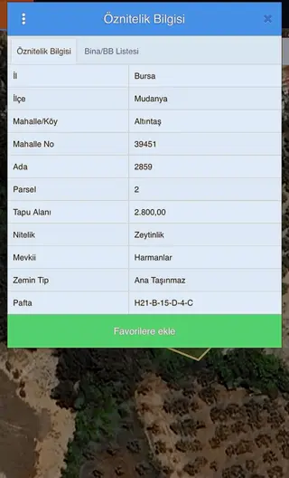 Rw Land Gayrimenkul Den Altıntaş Ta 2800 M2 Zeytinlik