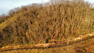 Trabzon'da Satılık 4 Dönüm Arazi