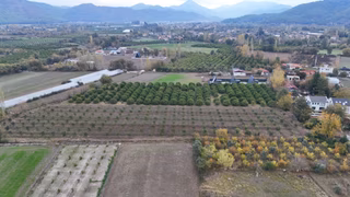 Muğla Ortaca Okçular Da 533 M2 Arsa 250 M2 İnşaat Kat Karşılığı Verilecek Muğla Ortaca Okçular Da 533 M2 Arsa 250 M2 İnşaat Kat Karşılığı Verilecek