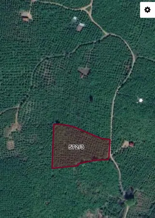 Sakarya Kocaali Ağalar Mahallesinde 9.500m2 Fındık Bahçesi