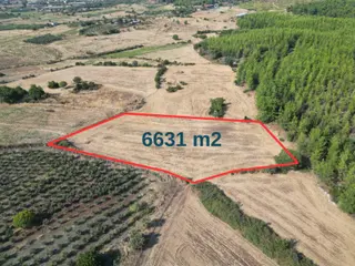 Ekşili'de Köy İçi Ormana Cephe 6631 M2 Satılık Tarla