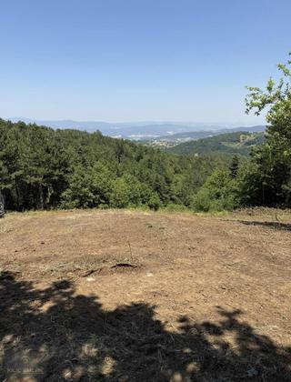 Kılıç Gayrimenkul'den Alaçam'da 2800 M2 Tek Tapu Hobi Bahçesi