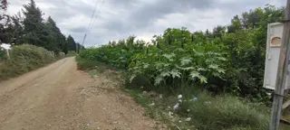 Muğla Ortaca Fevziye De Denize Yakın Müstakil Tapulu 6.200 M2 Bahçe Satılık
