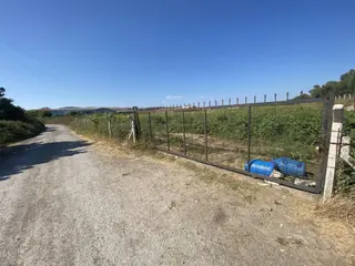 Balıkesir Ayvalık Ta Satılık 12,656 Metre Kare Arsa.