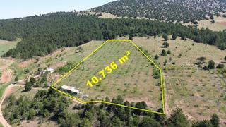 Konya / Ilgın / Gökçeyurt-özlem Mahallesinde 10.736 M² Müstakil Tapulu Tarla