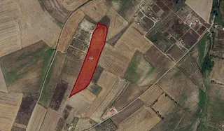 Turyap Hürriyetten M.ereğlisi Yeniçiflik 15.900 M2 Satılık Tarla