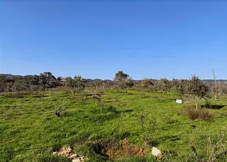 Caddeye Yakın, 3 Tarafı Yola Cepheli | Seferihisarda Kupon Arazi