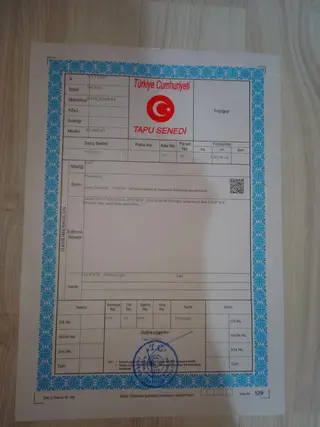 Sahibinden Satlık Bakımsız Bağ