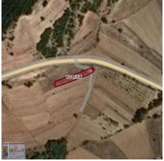 Bilecik Gölpazarı Dokuz Köyünde 1000 M2 Köye Ve Yola Yakın Tarla