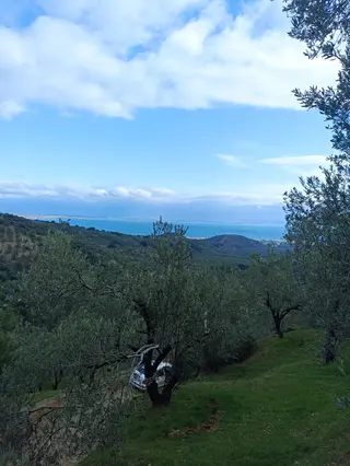 Olcaysu'dan Deniz Manzaralı Kaçırılmayacak Fırsat Zeytinlik!