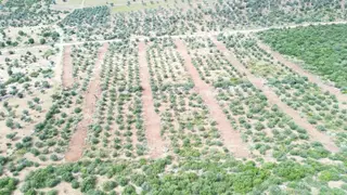 Yeşiltepe Zümrüttepeye Komşu Satılık Hobi Bahçeleri