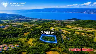 Sapanca Hacımercan Da Satılık Turizm İmarlı 7.986 M² Arsa