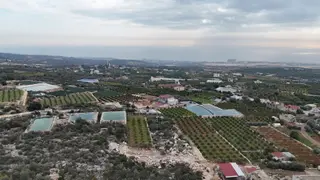 Erdemli Batısandal Satılık 1200 M2 Ev Yapım Uygun Limon Bahçesi