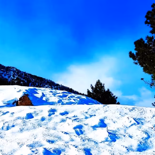 Kar Emlaktan Yenikonacık Bozkırlı Mevkiinde 425 M2 Satılık Arsa - 1