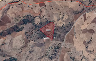 Giresun Şebinkarahisar Tepeltepe Köyünde 28.620 M² Tarla Satılıktır