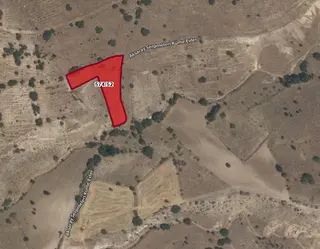 Güzelyurt Ta Toki’ye Yakın 574 / 52. 1920. M. Bağ