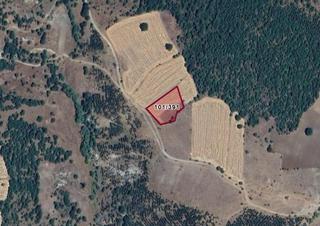 Kütahya Merkez Kıranşeyh Köyünde 2.763 M² Tarla Satılıktır