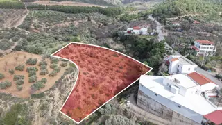 Datça Sındı Mahallesi Zeytincikte Satılık 5.738m² Tarla