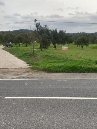 Aşağışakran’da Yola Cepheli, Konut Takasına Uygun Yatırımlık Zeytinlik